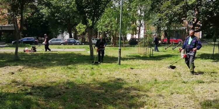 JKP „Zelenilo“ Pančevo: Primarni zadatak uredne javne zelene površine u svim naseljima