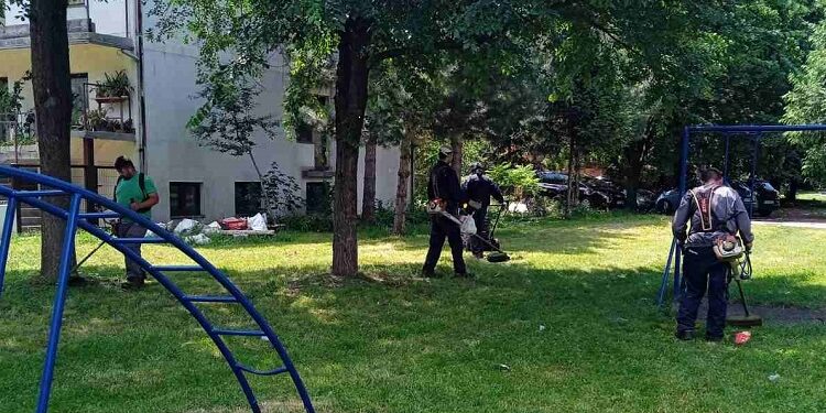 JKP Zelenilo: Pojačanom angažovanošću do lepšeg i urednijeg Pančeva