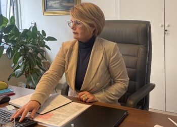 Vlada Srbije imenovala Biljanu Komnenić za vd direktora Elektrodistribucije Srbije