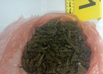 Uhapšen muškarac iz okoline Kovačice: Policija u vozilu našla 170 grama marihuane