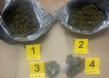 Pančevačka policija zaplenila 1.7 kg marihuane