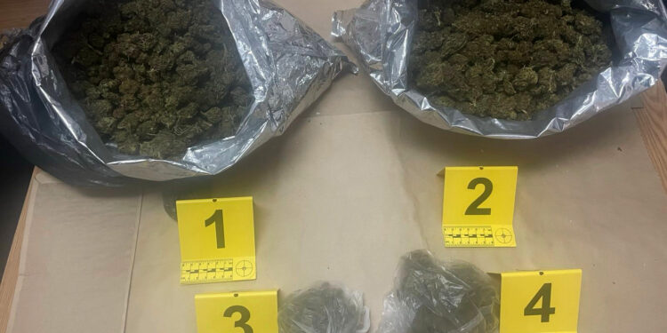 Pančevačka policija zaplenila 1.7 kg marihuane