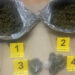 Pančevačka policija zaplenila 1.7 kg marihuane