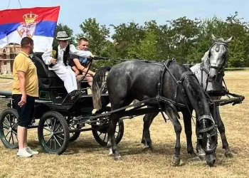 Održane tradicionalne konjičke trke u Omoljici