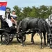 Održane tradicionalne konjičke trke u Omoljici