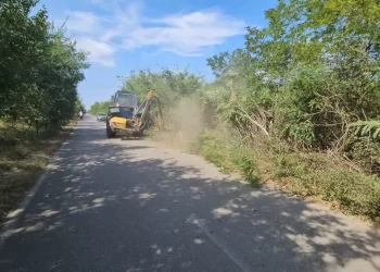 Počelo košenje strnjike na kačarevačkom putu od Jabuke ka Crepaji