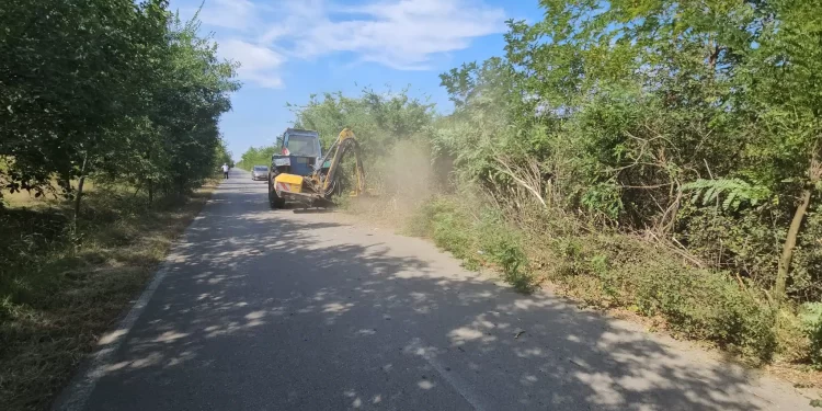 Počelo košenje strnjike na kačarevačkom putu od Jabuke ka Crepaji