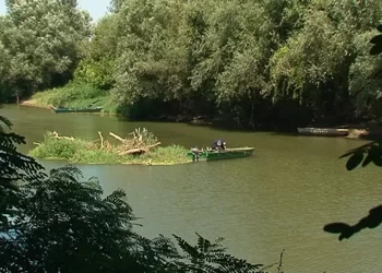 Uređena staza pored Tamiša u Idvoru