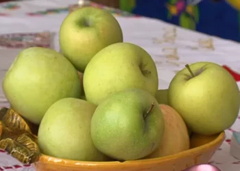 Na Malu Gospojinu Festival jabuka u Crepaji