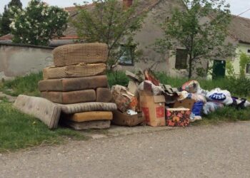 JKP Higijena: Oktobar, mesec čistoće – Čistije, ipak može!