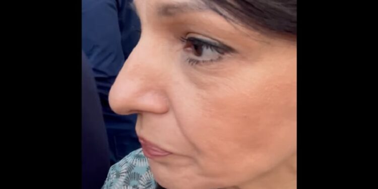 Plagijat: Marinika Tepić Đilasova Mira Marković