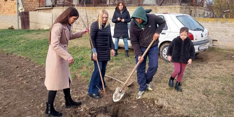 Katarina Banjai i Vesna Radosavljević dale doprinos akciji ozelenjavanja u Starčevu