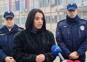 Vitman: Podnešena krivična prijava zbog paljenja dečjeg igrališta na Kotežu 2