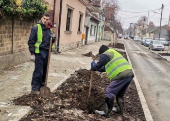 Počela jesenja sadnja u Pančevu