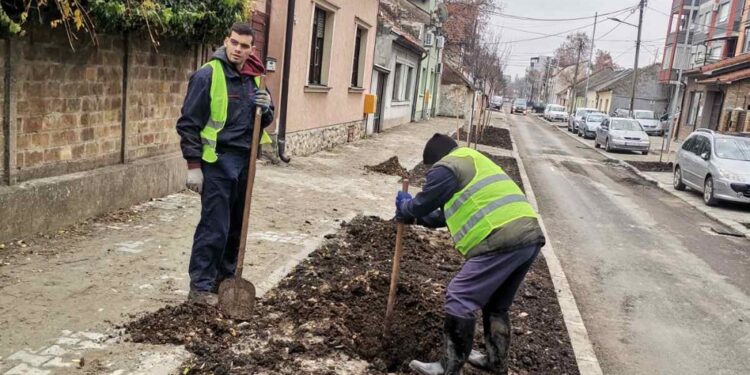 Počela jesenja sadnja u Pančevu
