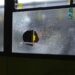 Uhapšen vandal: Kamenom naneo štetu na autobusu i javnoj česmi u Kačarevu