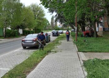 Primarni zadatak JKP Zelenilo: Uredne javne zelene površine u svim naseljima