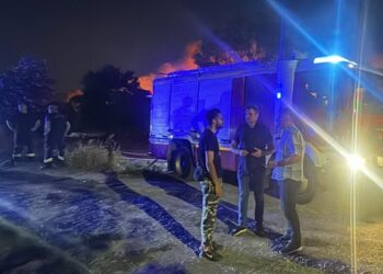 Pančevački Mali rit u plamenu, vatrogasci i gradonačelnik Stevanović na terenu