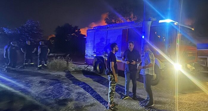 Pančevački Mali rit u plamenu, vatrogasci i gradonačelnik Stevanović na terenu