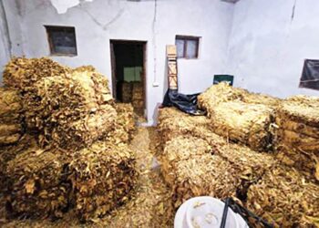 UKP Pančevo zaplenio 5 tona duvana u Kovinu: Oštetili budžet Republike Srbije za oko 43 miliona dinara