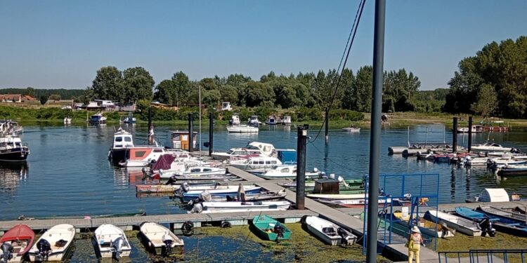 TOOK: Ima još slobodnih priveza na pontonu na Dunavcu