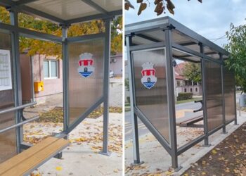Predsednik MZ Vojlovica: Osuđujemo vandalizam i uništavanje javne svojine