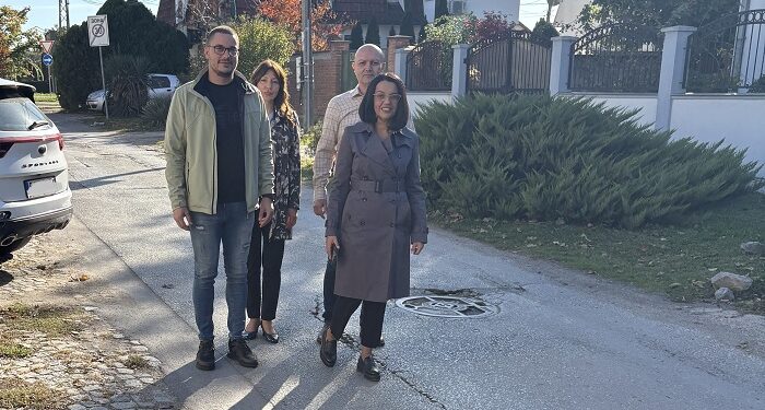 Vitman: Rekonstruišemo Sterijinu na Tesli, vrednost radova 74 miliona