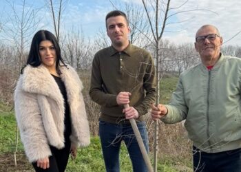 Počela velika akcija sadnje: ŠG „Banat“ Pančevo donira 2.000 sadnica za 16 mesnih zajednica (VIDEO)