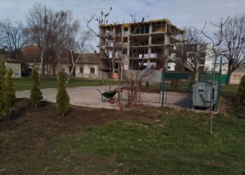 JKP Higijena i Zelenilo: Posađeno 20 tuja na mestu uklonjene divlje deponije na Zelengori
