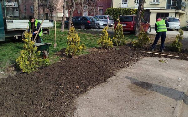 Javna komunalna preduzeća „Higijena“ i „Zelenilo“ udruženim radom do čistije okoline