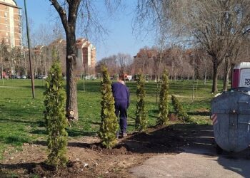 Javna komunalna preduzeća  „Higijena“ i „Zelenilo“ udruženim radom do čistije okoline