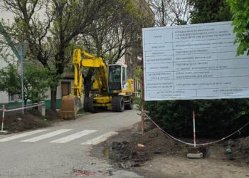 Vodovod Pančevo: Rešavanje decenijskog problema u ulici Dragutine Ilkića Birte