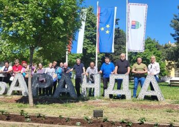 Organizovana akcija sadnje cveća u centru Barande