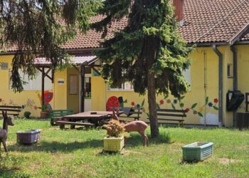 PU „Bambi“: Lista primljene dece na oglasnim tablama u Opovu i Sefkerinu
