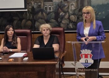 Tim za prevenciju i zaštitu dece i učenika od nasilja, zlostavljanja i zanemarivanja grada Pančeva održao panel diskusiju