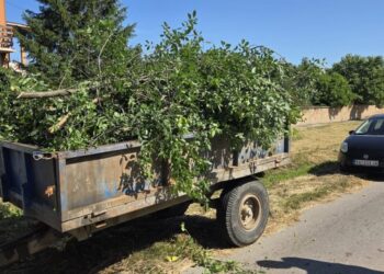 JP „Mladost“ Opovo sprovelo akciju uklanjanja divlje vegetacije u Sefkerinu