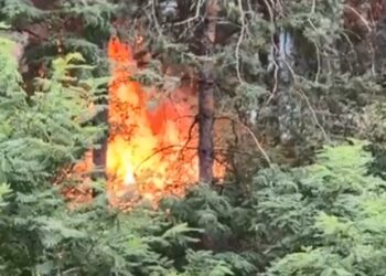 Ekskluzivno: Helikopter gasi požar u Deliblatskoj peščari (VIDEO)