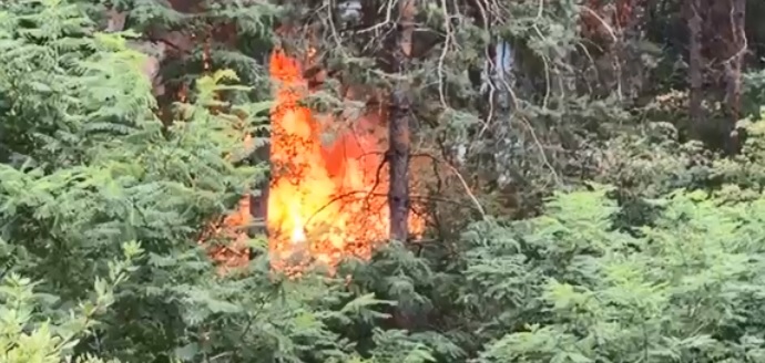 Ekskluzivno: Helikopter gasi požar u Deliblatskoj peščari (VIDEO)