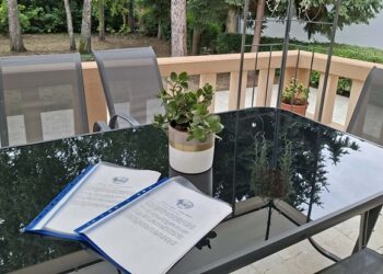 Leto uz priče o Kovinu: Novi eseji Dejana Kreculja u biblioteci