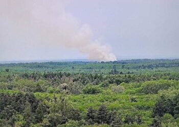 Gori 20 hektara borove šume: Kakvi smo to ljudi?