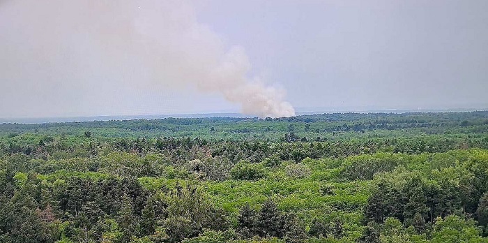 Gori 20 hektara borove šume: Kakvi smo to ljudi?