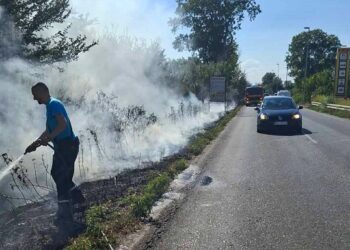 Vodovod Pančevo: Požar na beogradskom putu stavljen pod kontrolu
