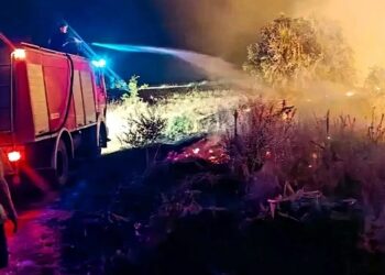 Požar u Crepaji: Vatrogasci sprečili širenje vatre