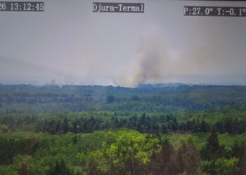 Vatrogasni helikopteri ponovo nad Deliblatskom peščarom: Gori 300 hektara šume