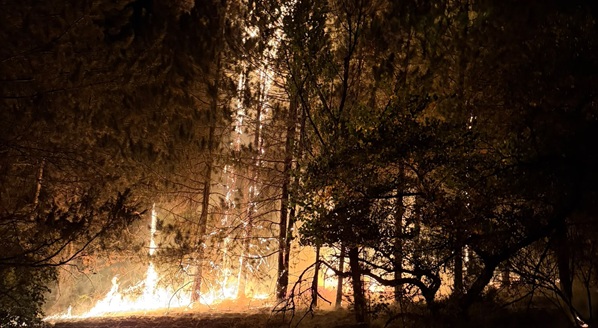 Poglašena vanredna situacija u delu opštine Kovin zbog velikog požara u Deliblatskoj peščari