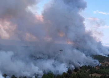 Nove informacije o požaru u Deliblatskoj peščari