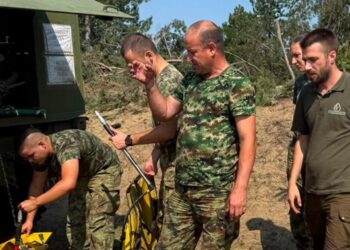 Gašenje požara u Deliblatskoj peščari: Vetar i specifičan teren otežavaju rad