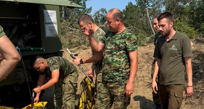 Gašenje požara u Deliblatskoj peščari: Vetar i specifičan teren otežavaju rad