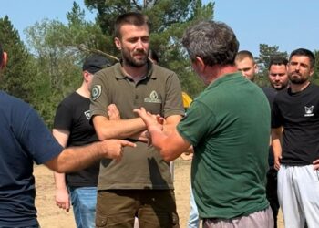 Gašenje požara u Deliblatskoj peščari: Vetar i specifičan teren otežavaju rad