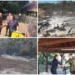 Ministarka Pavkov: Za nedelju dana plan sanacije i obnove Deliblatske peščare